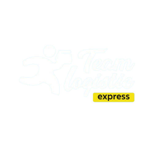 Logo de Team Logistic Express